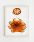 octopus wall art in light wood frame